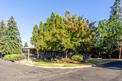 1201-NE-9th-St-8-26-2022-3