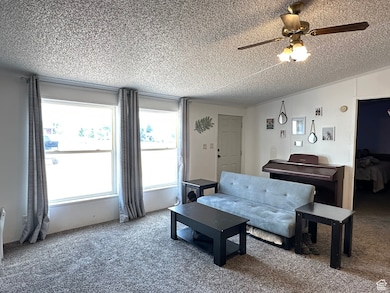190 W 400 St S, Fillmore, UT 84631 - photo 4