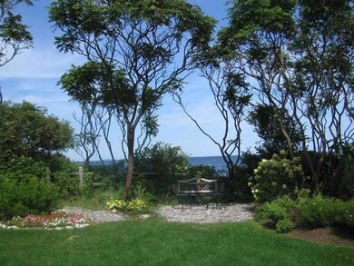 Yard/Garden.