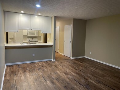 Living Room/Kitchen