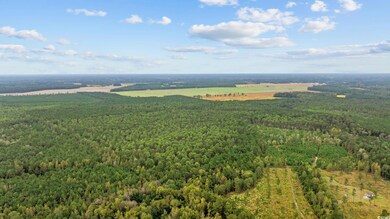 TBD Riverbend Rd, Loris, SC 29569 - photo 5