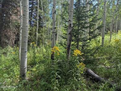 11319 E Tanglewood Dr unit 654, Timber Lakes, UT 84032 - photo 7