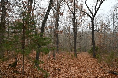 21010 Trailing Vine Ln, Lebanon, MO 65536 - photo 5