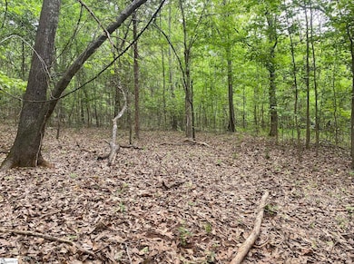 00 Wingo Rd, Wellford, SC 29385 - photo 2