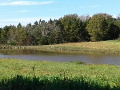 3442 N Nc Highway 49, Burlington, NC 27217 - photo 4