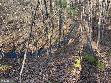 10 Cross Creek Dr, Wardensville, WV 26851 - photo 5