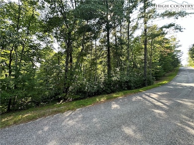 Lot 36E Cascade Run, Purlear, NC 28665 - photo 2