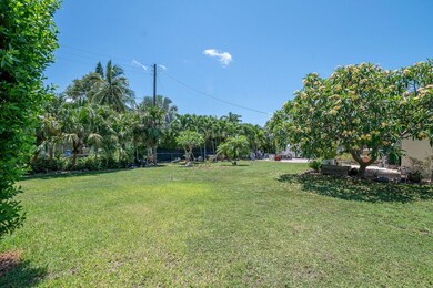 5-web-or-mls-306-lime-st