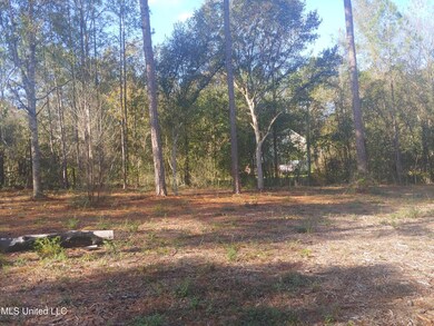 Nhn Crazy Horse Dr, Kiln, MS 39556 - photo 5