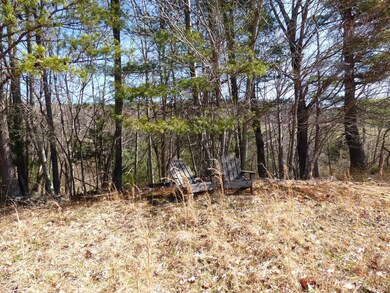 0 Alto Rd unit 342956, Vesuvius, VA 24483 - photo 6