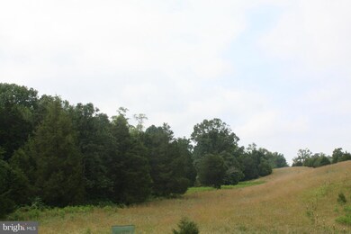 0 Mt Hebron unit 1003241155, Strasburg, VA 22657 - photo 5