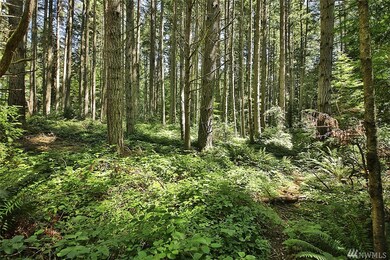 0 Pinewood Cir, Langley, WA 98260 - photo 7