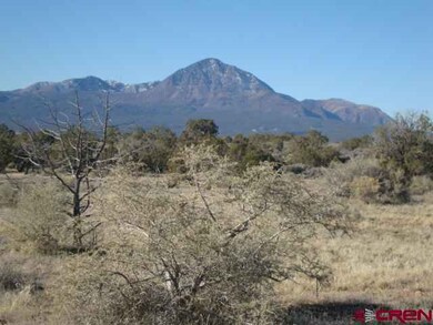 0 Road 23 unit 663918, Cortez, CO 81321 - photo 3