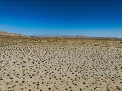 60716 29 Palms Hwy, Joshua Tree, CA 92252 - photo 5