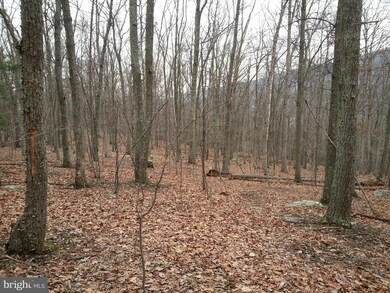 0 Center Ridge Rd unit 1002799038, Berkeley Springs, WV 25411 - photo 4