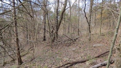 1 Baxter Ridge Rd, Lawrenceburg, KY 40342 - photo 4