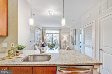 8005 13th St unit 204, Silver Spring, MD 20910 - photo 5