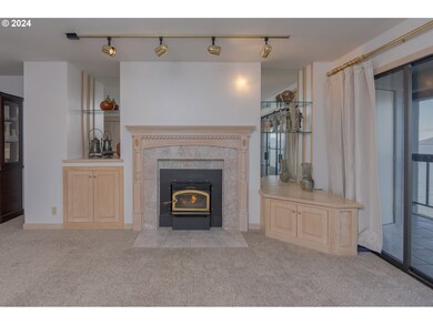 Fireplace Insert