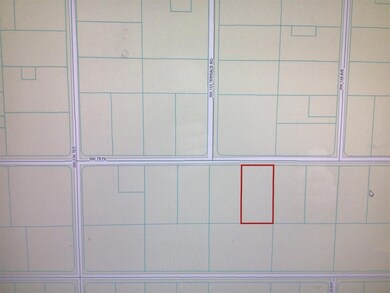 0 SW 78 Place unit MFROM677483, Dunnellon, FL 34432 - photo 4