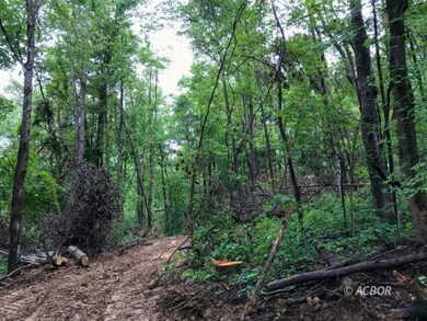 East Branch Rd 32 acres
