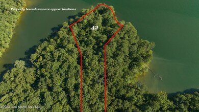 2523 Sturdivant Rd, Jacksons' Gap, AL - photo 5