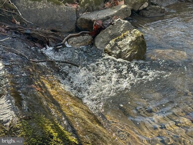 0 Corner Rt 259 S & Hunkerson Gap Rd unit WVHD2001852, Mathias, WV 26812 - photo 6