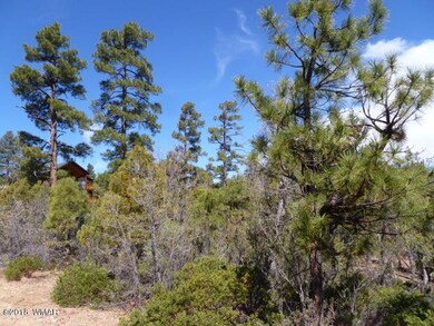 Snowberry Loop
