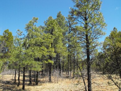 6 Lot 398 Navajo