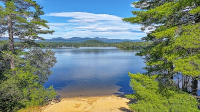 common beach