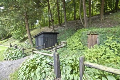 Park Setting