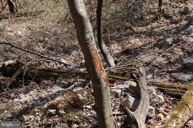 0 Back Rd unit VASH2003604, Toms Brook, VA 22660 - photo 5