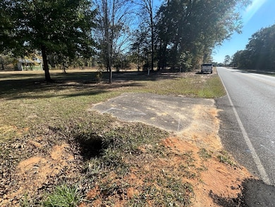 816 N Broad St, Cowarts, AL 36321 - photo 4