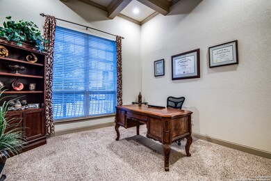 25650 Rabbitbrush, San Antonio, TX 78261 - photo 5