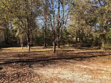 14324 Fm 1485 Rd, Conroe, TX 77306 - photo 6