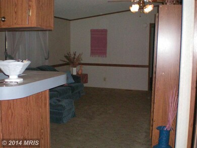 86 Ruby Ridge Rd, Franklin, WV 26807 - photo 3