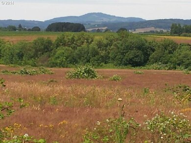 0 Ballston (Off Of) Rd unit 14474319, Sheridan, OR 97378 - photo 5