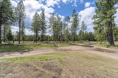 NKACoyotePassRd0533