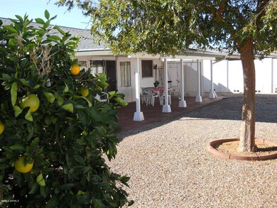Back Yard 2