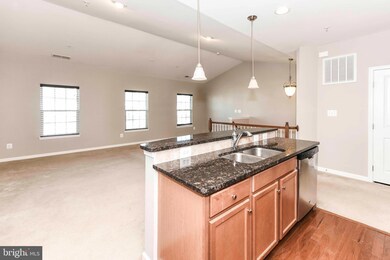 24662 Hutchinson Farm Dr, Sterling, VA 20166 - photo 5