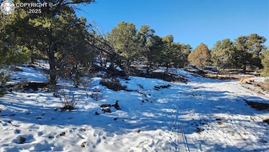 TR-82 35th Trail, Cotopaxi, CO 81223 - photo 2