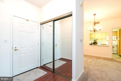 2904 N Leisure World Blvd unit 411, Silver Spring, MD 20906 - photo 4