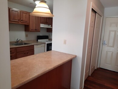 486 Nashua St unit 205, Milford, NH 03055 - photo 4