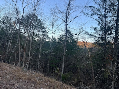 790 Pomme de Terre Rd, Scott Township, MO 65616 - photo 3