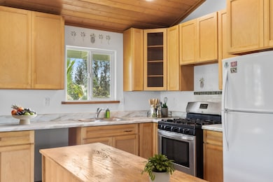 16-1046 Opeapea Rd, Mountain View, HI 96771 - photo 7