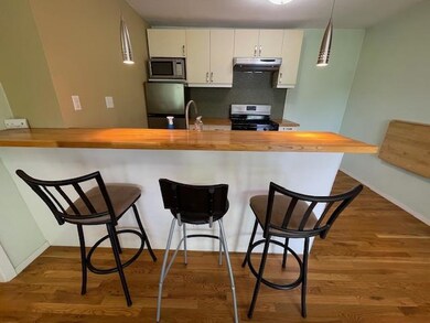 Kitchen with under cabinet range hood, appliances