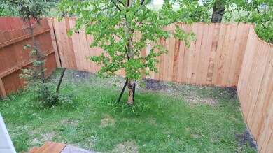 Fenced Yard