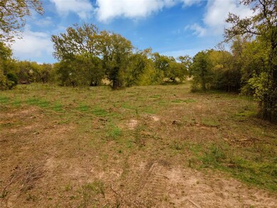 Lot 3 Texas 114, Paradise, TX 76073 - photo 5