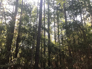 012 R C Thomas Rd, Hattiesburg, MS 39401 - photo 4