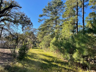 0000 Longbow St, Hockley, TX 77447 - photo 2
