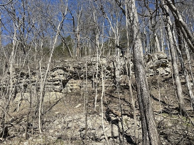 0 Ben Gentry Ln unit RTC2791429, Elmwood, TN 38560 - photo 7